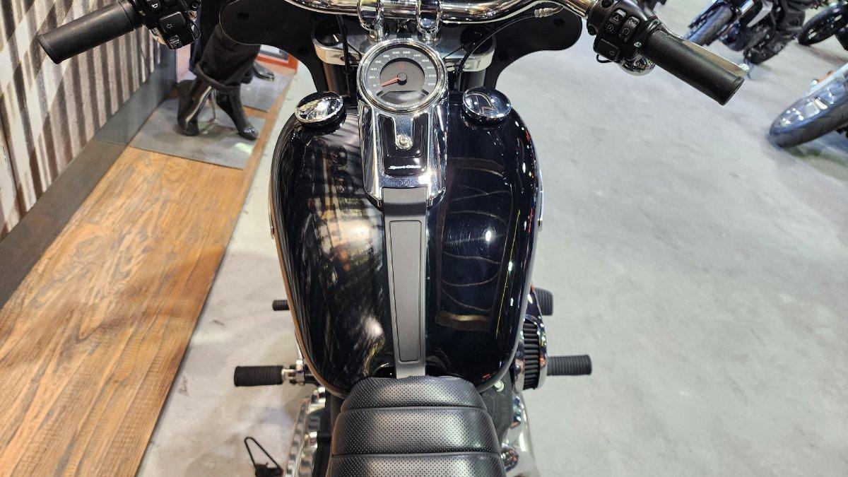 2020 HARLEY-DAVIDSON FLSB SPORT GLIDE CRUISER