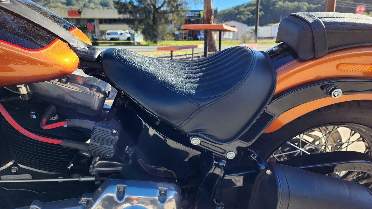 2015 HARLEY-DAVIDSON FLS SOFTAIL SLIM CRUISER