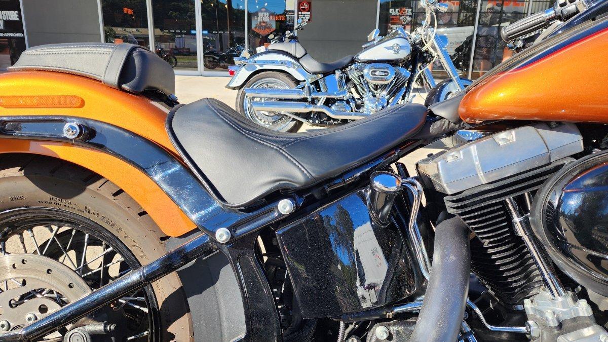 2015 HARLEY-DAVIDSON FLS SOFTAIL SLIM CRUISER