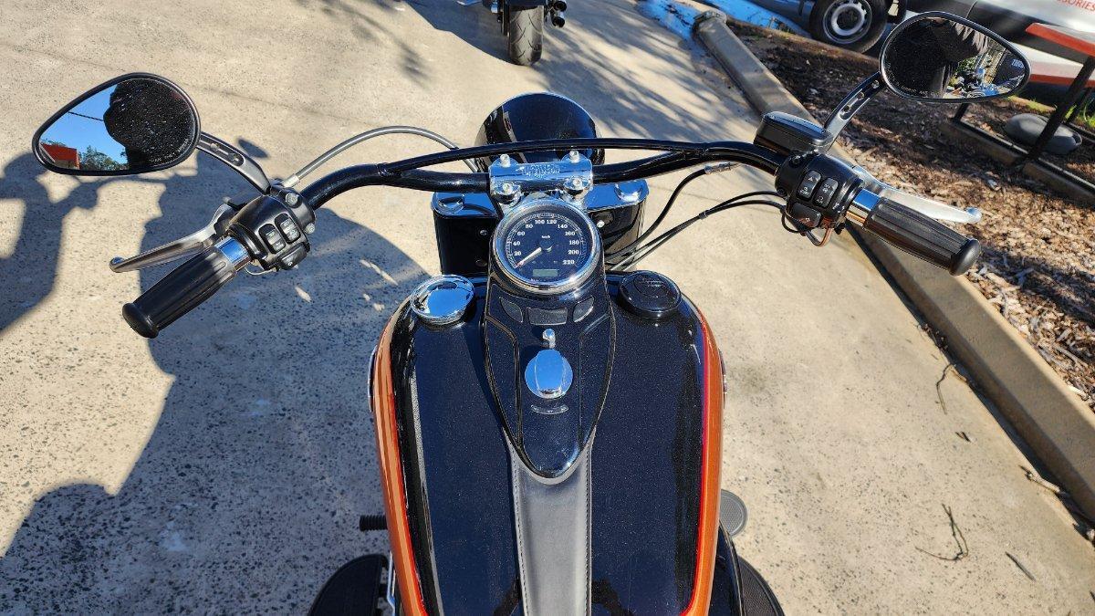 2015 HARLEY-DAVIDSON FLS SOFTAIL SLIM CRUISER
