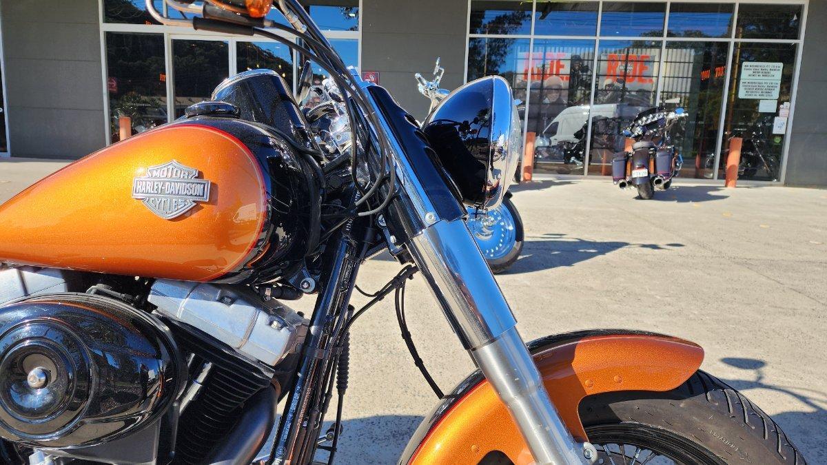2015 HARLEY-DAVIDSON FLS SOFTAIL SLIM CRUISER