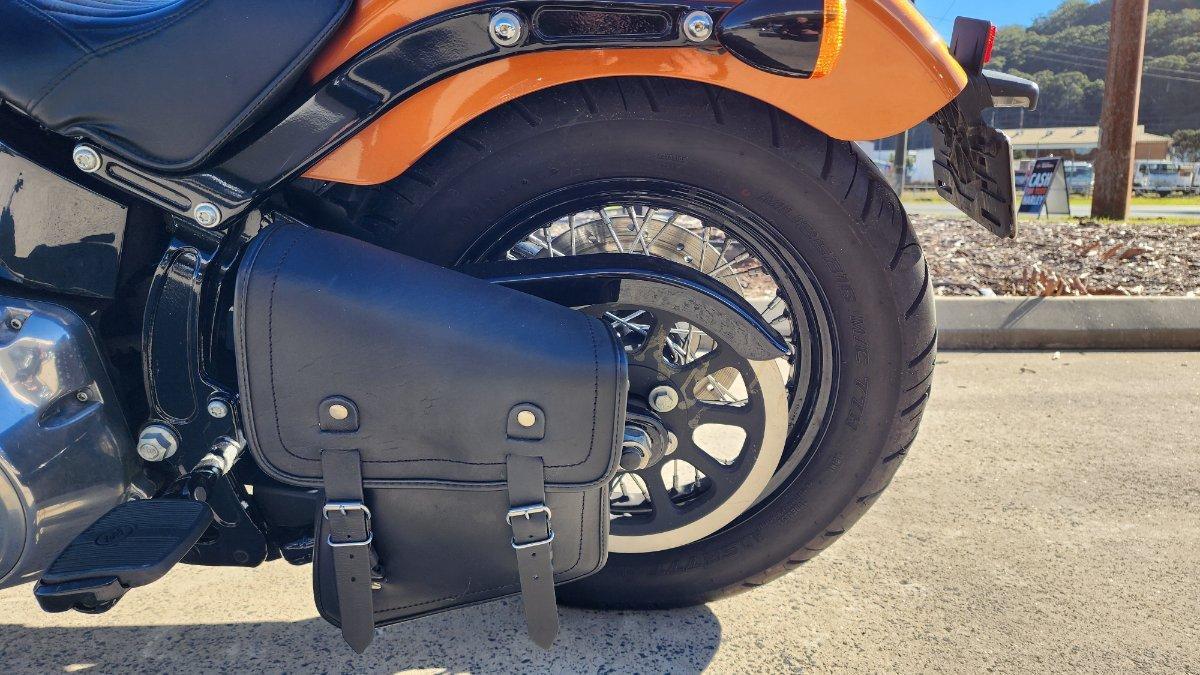 2015 HARLEY-DAVIDSON FLS SOFTAIL SLIM CRUISER