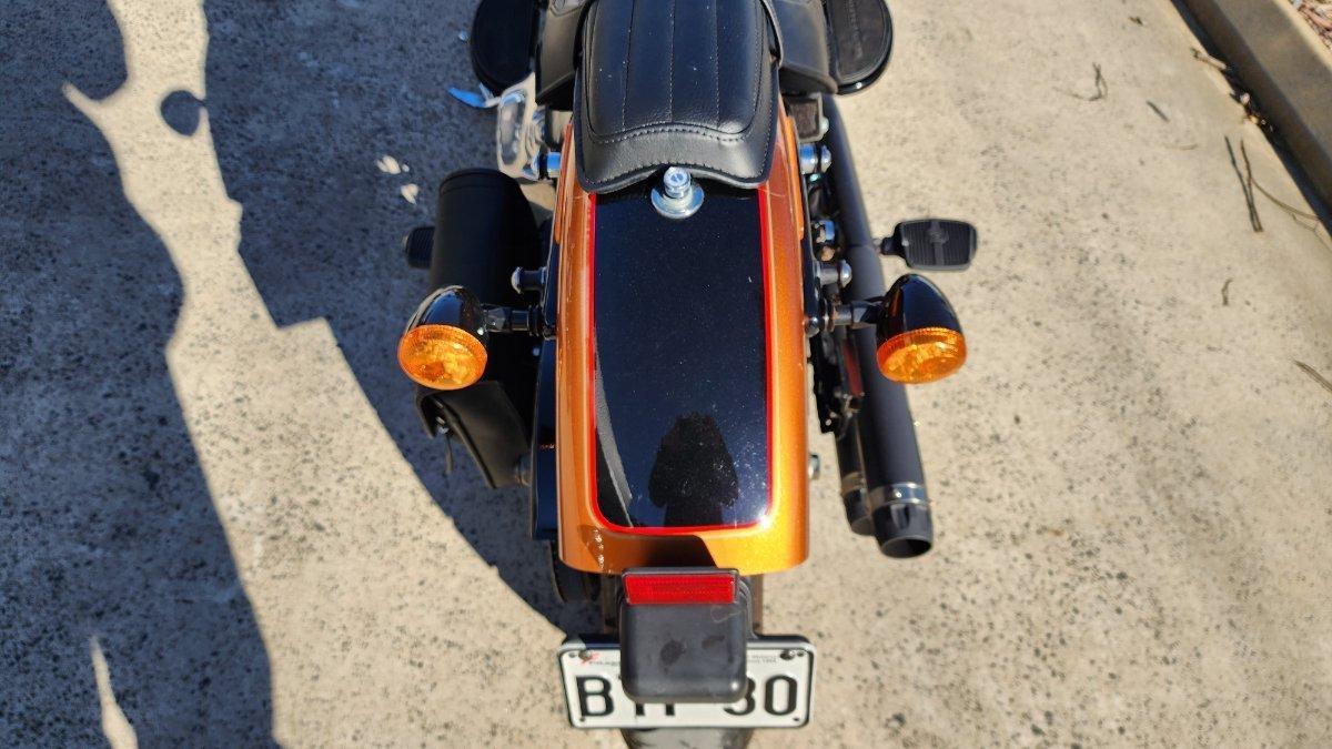2015 HARLEY-DAVIDSON FLS SOFTAIL SLIM CRUISER