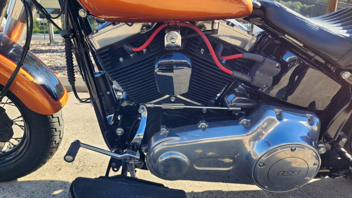2015 HARLEY-DAVIDSON FLS SOFTAIL SLIM CRUISER