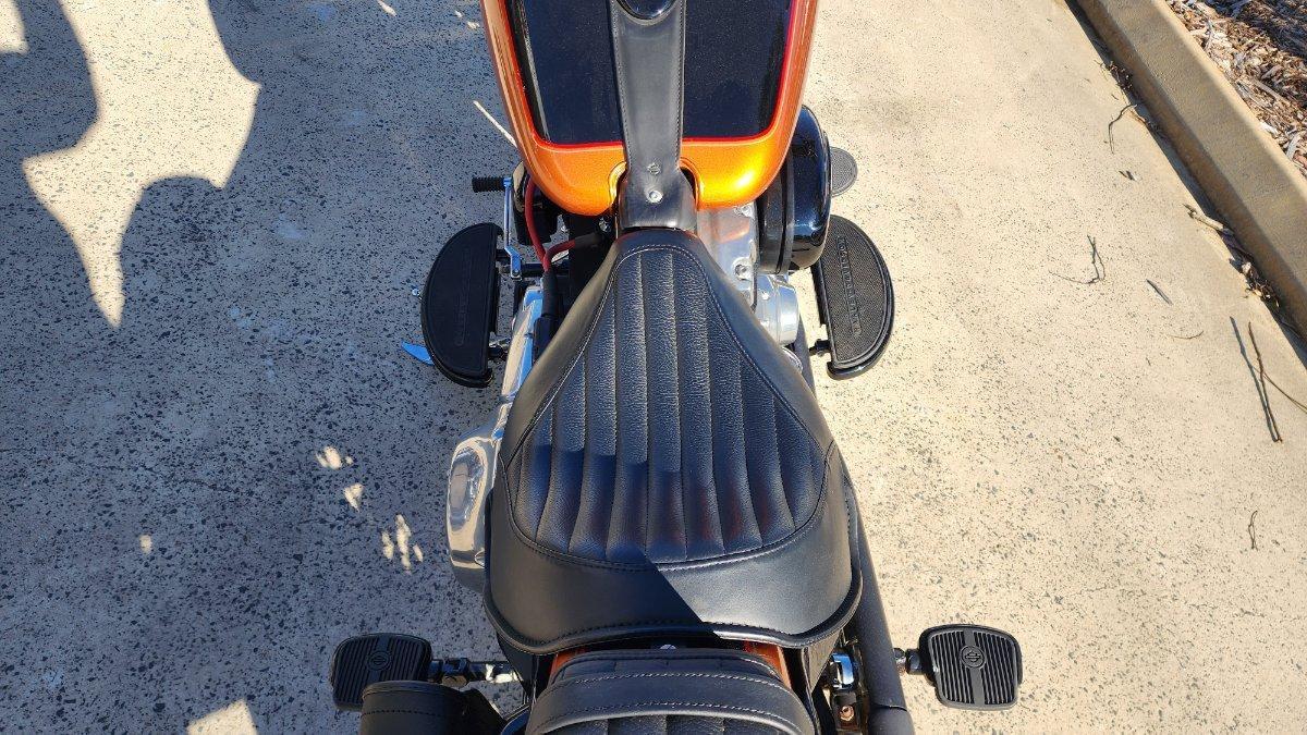 2015 HARLEY-DAVIDSON FLS SOFTAIL SLIM CRUISER