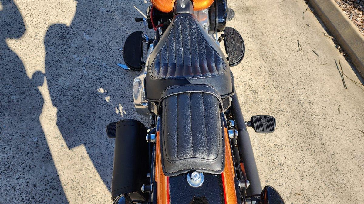 2015 HARLEY-DAVIDSON FLS SOFTAIL SLIM CRUISER
