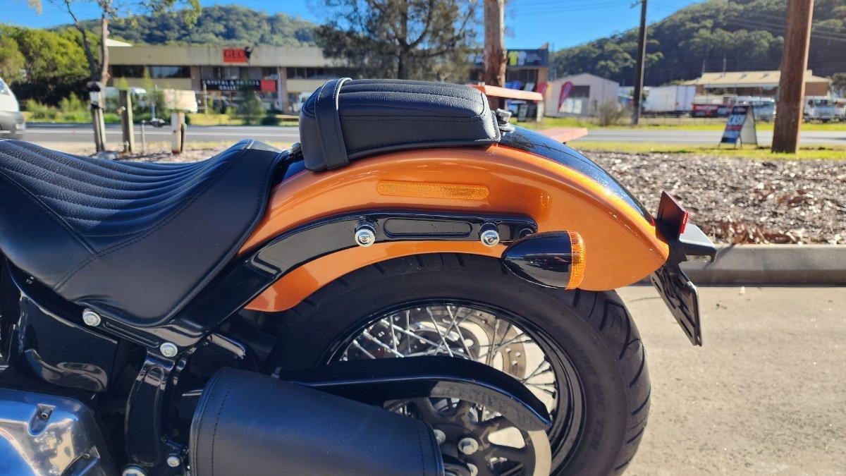 2015 HARLEY-DAVIDSON FLS SOFTAIL SLIM CRUISER