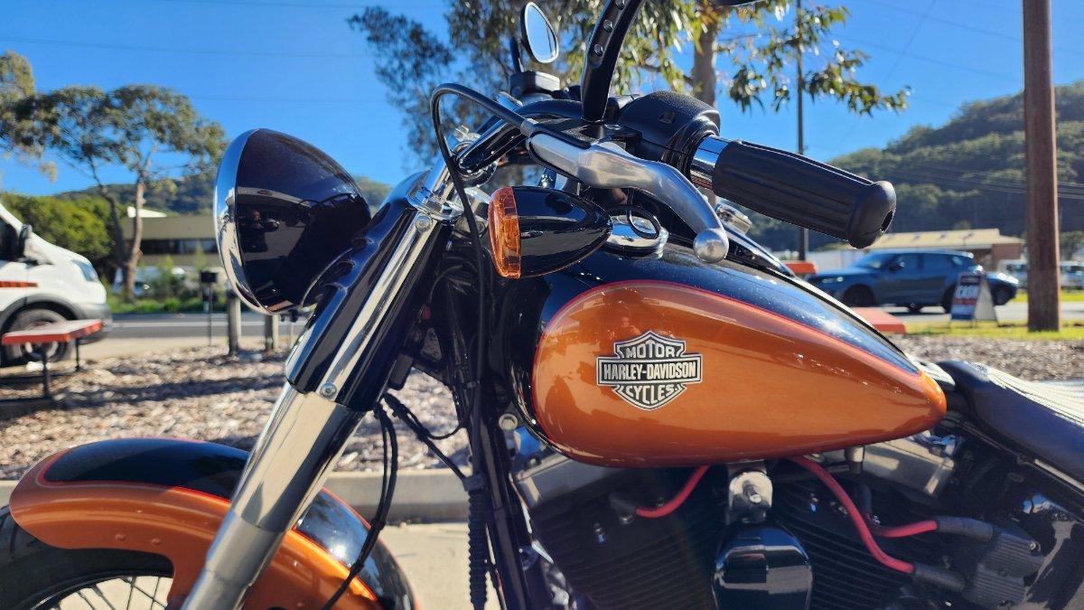 2015 HARLEY-DAVIDSON FLS SOFTAIL SLIM CRUISER