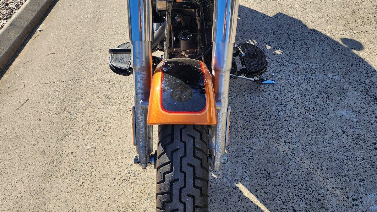 2015 HARLEY-DAVIDSON FLS SOFTAIL SLIM CRUISER