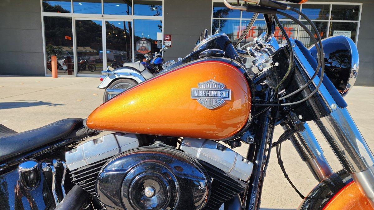 2015 HARLEY-DAVIDSON FLS SOFTAIL SLIM CRUISER