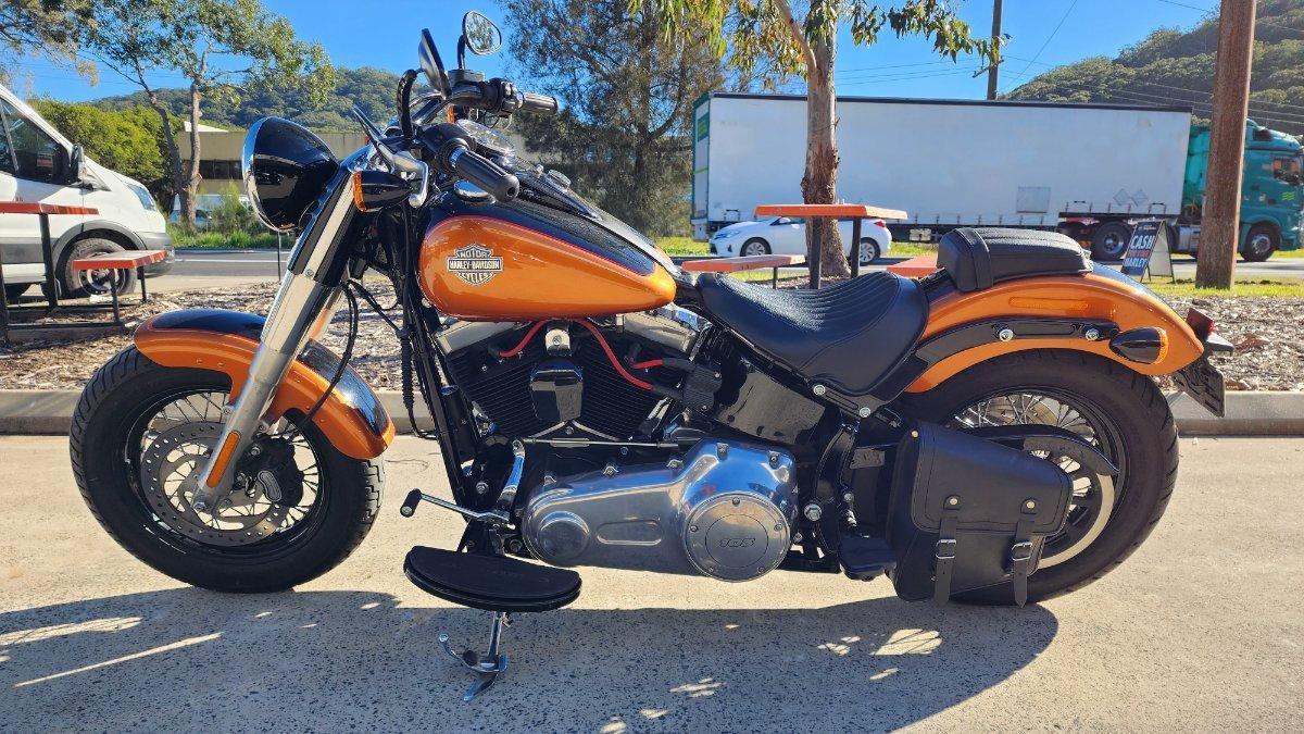 2015 HARLEY-DAVIDSON FLS SOFTAIL SLIM CRUISER