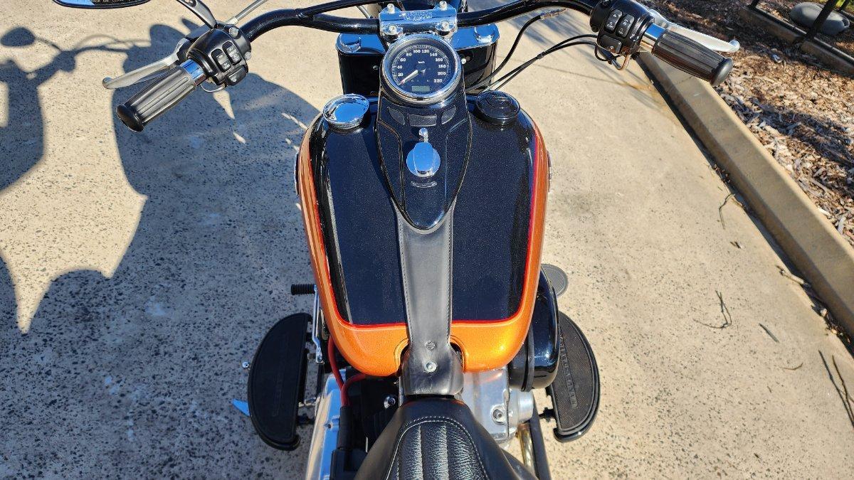 2015 HARLEY-DAVIDSON FLS SOFTAIL SLIM CRUISER