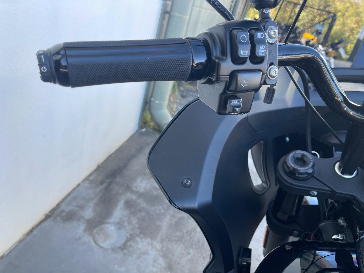 2022 HARLEY-DAVIDSON FXLRST LOW RIDER ST (117) CRUISER