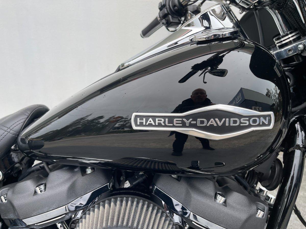 2018 HARLEY-DAVIDSON FLSB SPORT GLIDE CRUISER