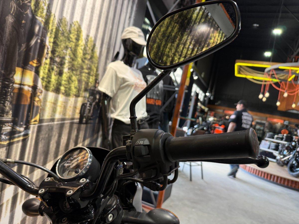 2015 HARLEY-DAVIDSON STREET 500 (LAMS) CRUISER