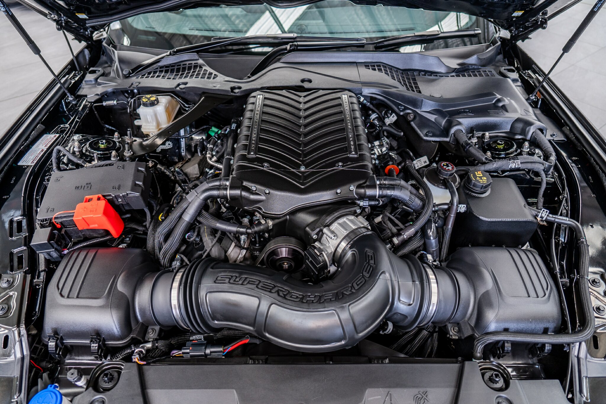 2024 FORD MUSTANG FO MY24 RTR SPEC 3 6 SP MANUAL 2D FASTBACK