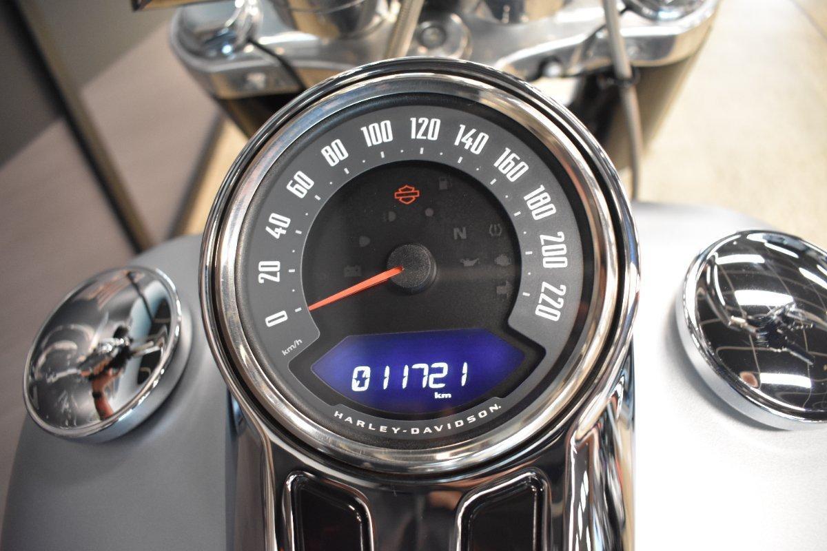 2020 HARLEY-DAVIDSON FLSL SOFTAIL SLIM (107) CRUISER