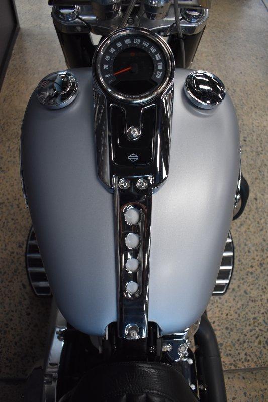 2020 HARLEY-DAVIDSON FLSL SOFTAIL SLIM (107) CRUISER