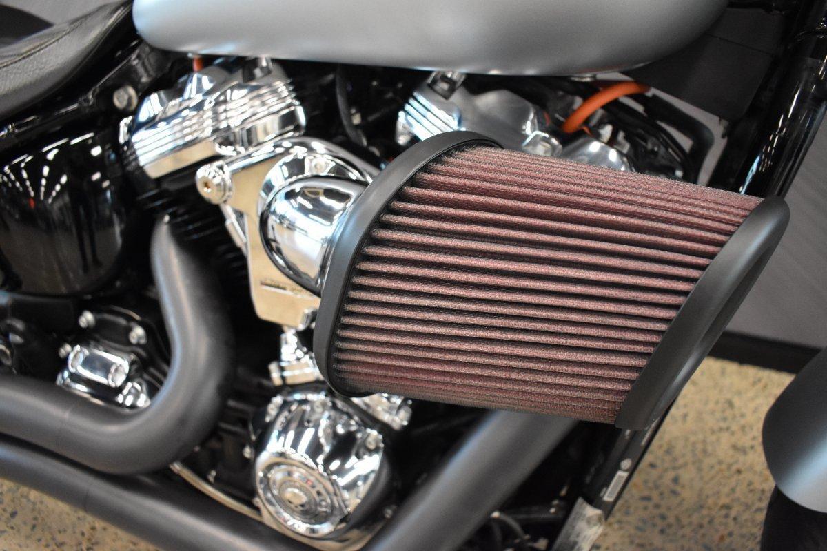 2020 HARLEY-DAVIDSON FLSL SOFTAIL SLIM (107) CRUISER