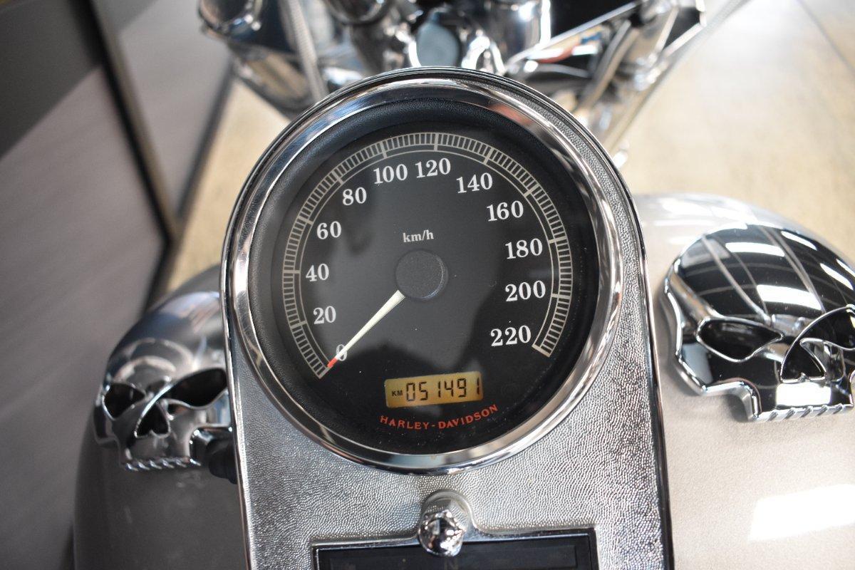 2009 HARLEY-DAVIDSON FXST SOFTAIL STANDARD CRUISER