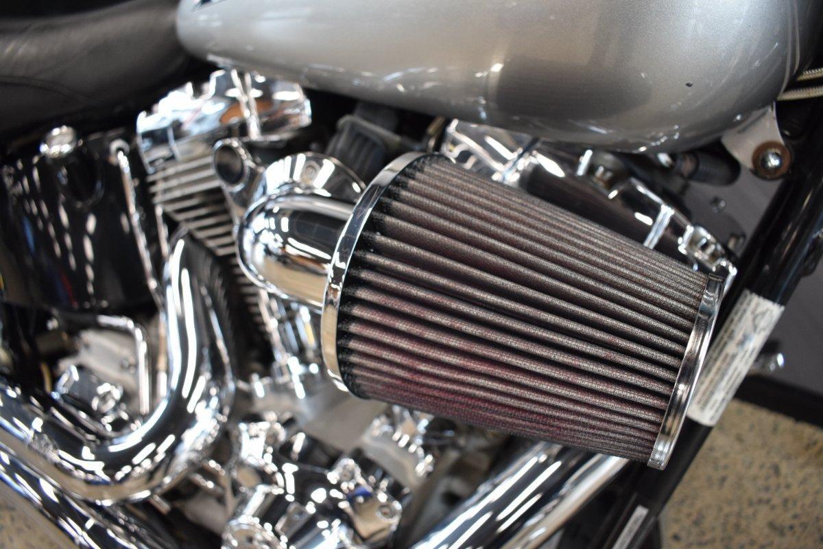 2009 HARLEY-DAVIDSON FXST SOFTAIL STANDARD CRUISER