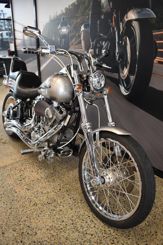 2009 HARLEY-DAVIDSON FXST SOFTAIL STANDARD CRUISER