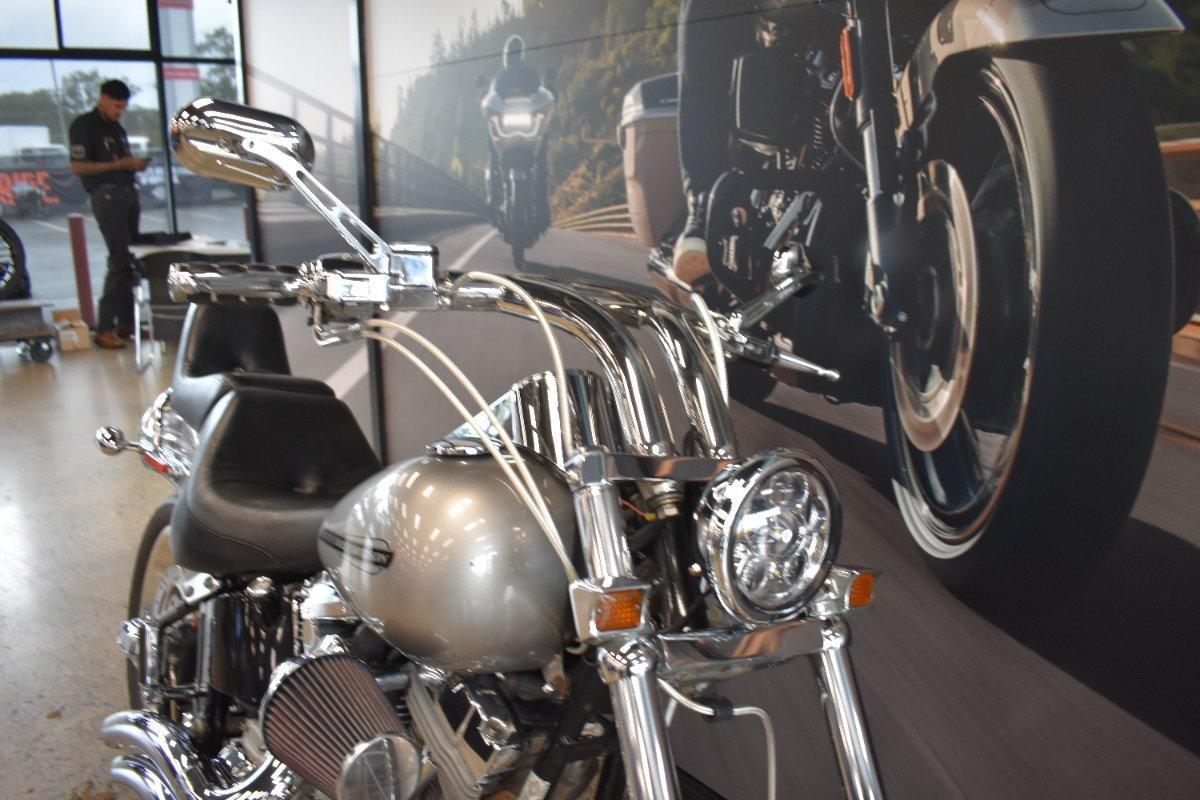2009 HARLEY-DAVIDSON FXST SOFTAIL STANDARD CRUISER