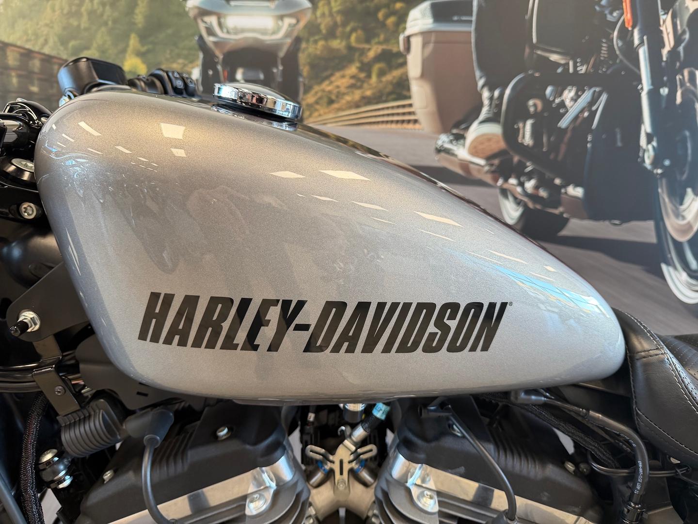 2016 HARLEY-DAVIDSON XC1200CX ROADSTER CRUISER