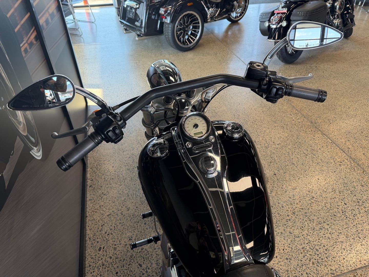 2010 HARLEY-DAVIDSON FXDWG WIDE GLIDE CRUISER