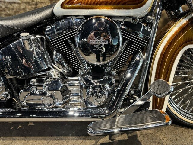 2008 HARLEY-DAVIDSON FLSTN SOFTAIL DELUXE CRUISER
