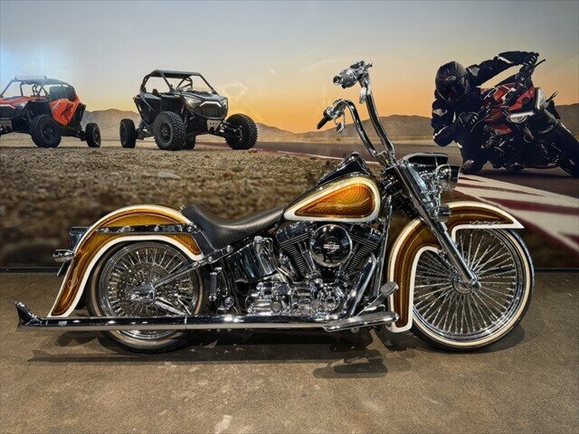 2008 HARLEY-DAVIDSON FLSTN SOFTAIL DELUXE CRUISER