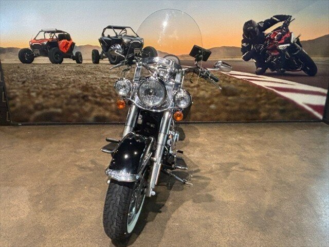 2014 HARLEY-DAVIDSON FLSTN SOFTAIL DELUXE CRUISER