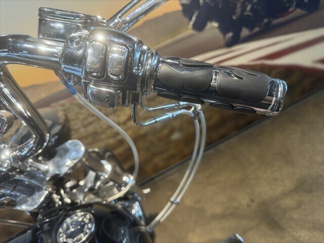 2001 HARLEY-DAVIDSON SOFTAIL STANDARD 1450 (FXST) CRUISER
