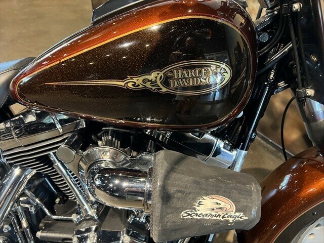 2009 HARLEY-DAVIDSON FLSTF FAT BOY CRUISER