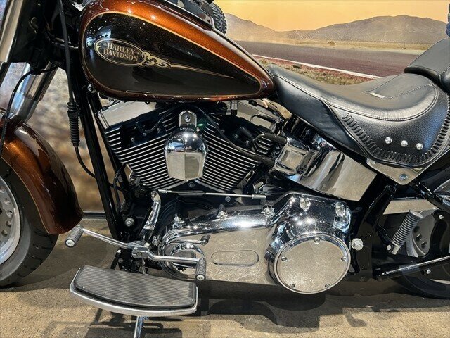 2009 HARLEY-DAVIDSON FLSTF FAT BOY CRUISER