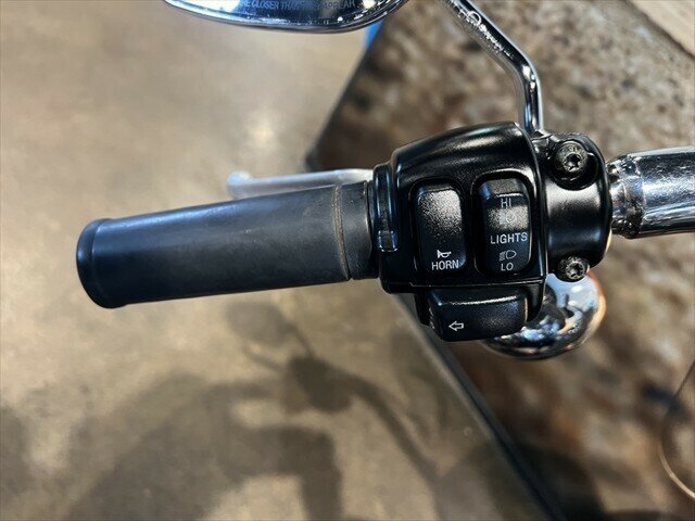 2009 HARLEY-DAVIDSON FLSTF FAT BOY CRUISER
