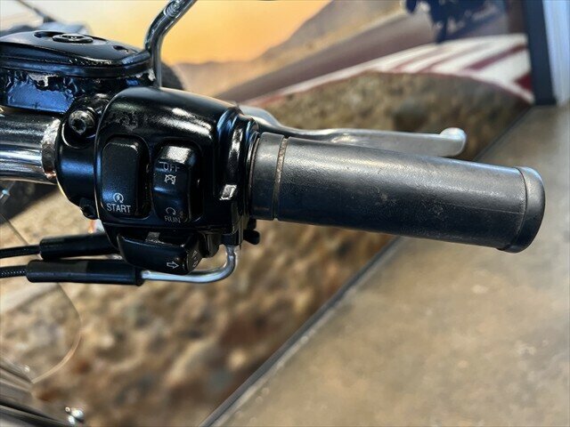 2009 HARLEY-DAVIDSON FLSTF FAT BOY CRUISER