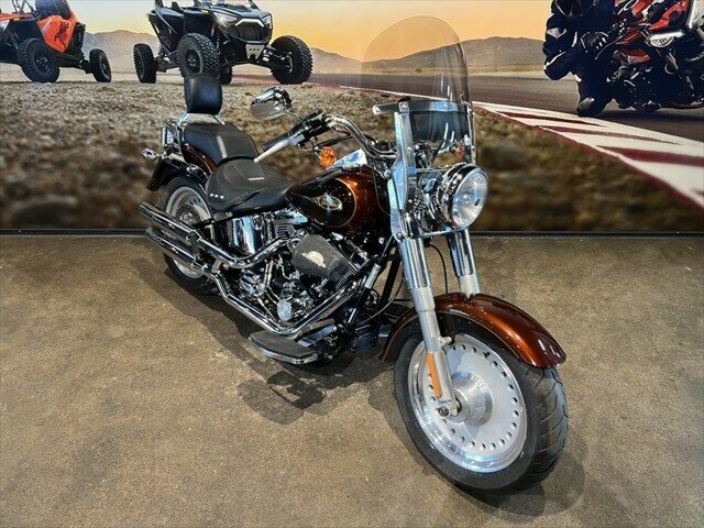 2009 HARLEY-DAVIDSON FLSTF FAT BOY CRUISER