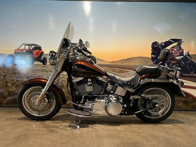 2009 HARLEY-DAVIDSON FLSTF FAT BOY CRUISER
