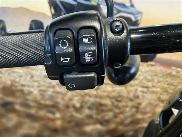 2019 HARLEY-DAVIDSON XL1200NS IRON 1200 CRUISER