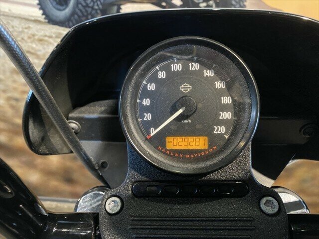 2019 HARLEY-DAVIDSON XL1200NS IRON 1200 CRUISER