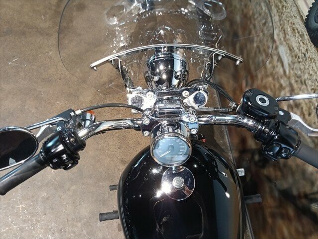 2007 HARLEY-DAVIDSON XL883C SPORTSTER CUSTOM CRUISER