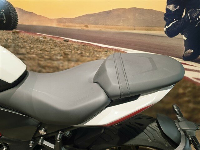 2025 TRIUMPH TRIDENT 800 SPORTS