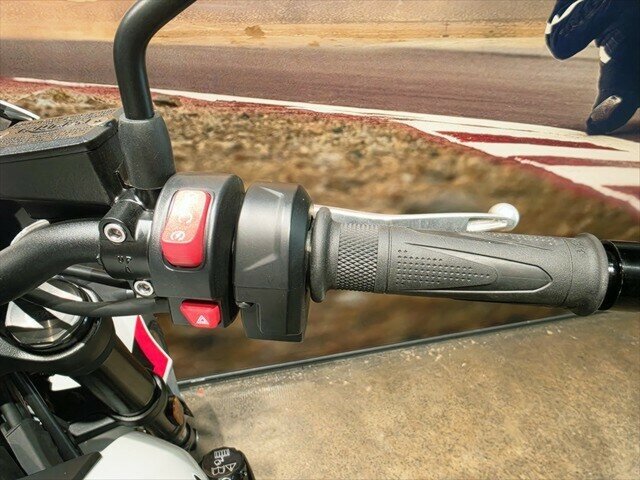 2025 TRIUMPH TRIDENT 800 SPORTS