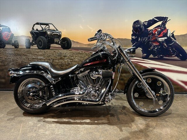 2007 HARLEY-DAVIDSON SOFTAIL STANDARD 1584 (FXST) CRUISER