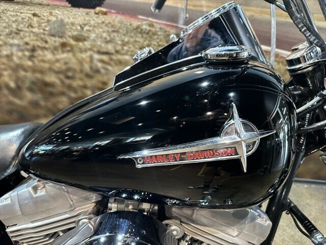 2004 HARLEY-DAVIDSON FXST SOFTAIL CRUISER