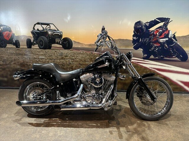 2004 HARLEY-DAVIDSON FXST SOFTAIL CRUISER