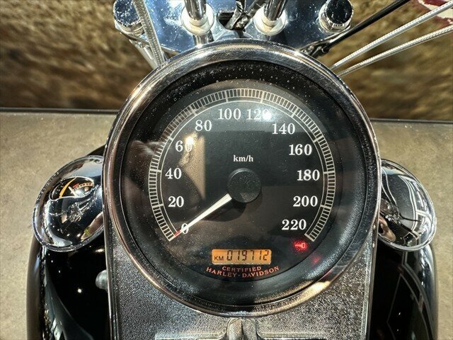 2004 HARLEY-DAVIDSON FXST SOFTAIL CRUISER