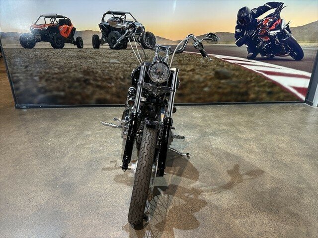 2004 HARLEY-DAVIDSON FXST SOFTAIL CRUISER