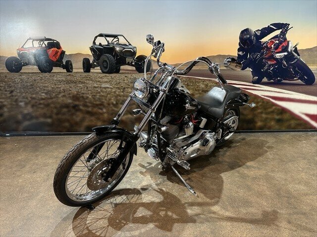 2004 HARLEY-DAVIDSON FXST SOFTAIL CRUISER
